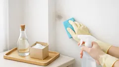 壁の湿気とカビを酢と重曹でやさしく落とす方法と再発防止のコツ